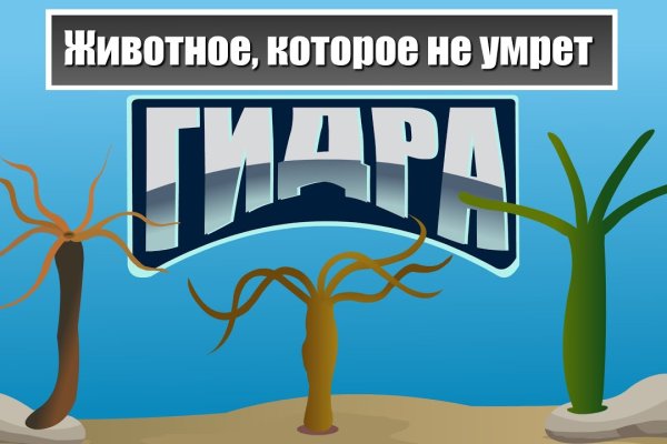 Сайты где купить наркотики