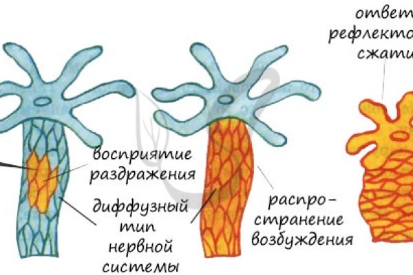 Kra49.cc