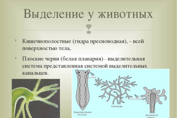 Ссылка на кракен через тор