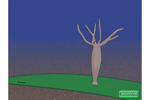 Kraken tor song
