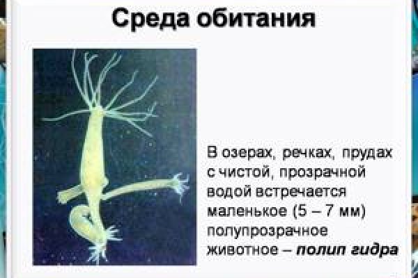 Kraken at сайт