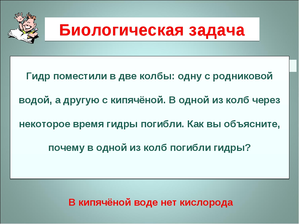 Kra43.at