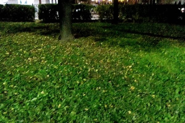 Кракен тор gigageek ru