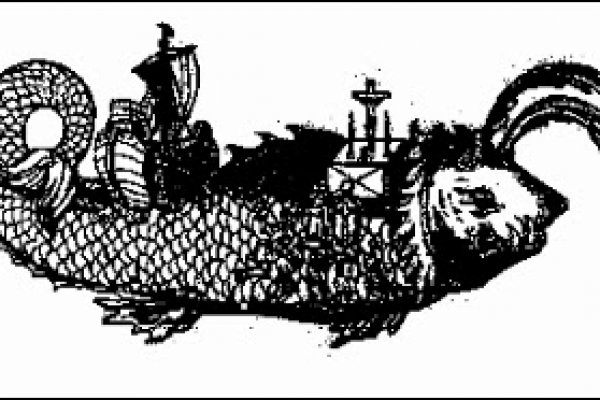 Kraken 12at