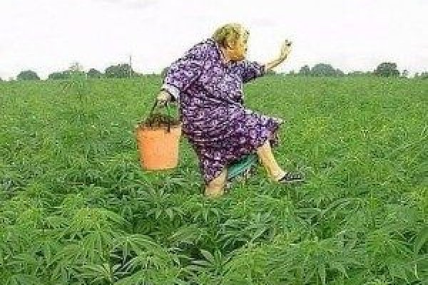 Сайты для даркнета