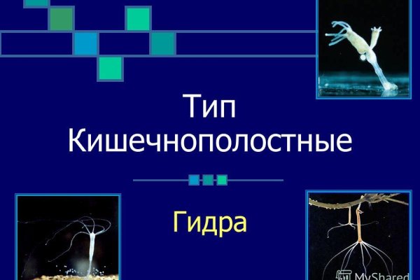 Кракен не грузит