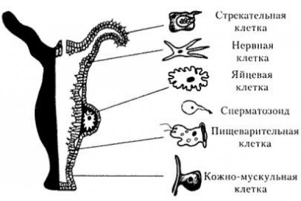 Kra45at