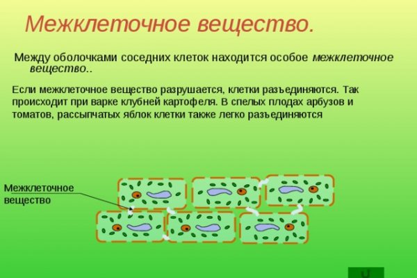 Как зайти на кракен без тора