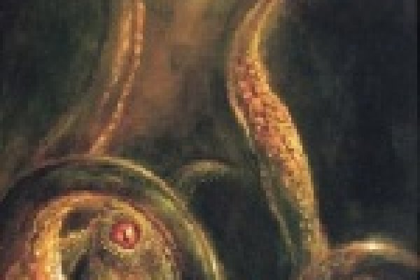 Как вернуть аккаунт кракен