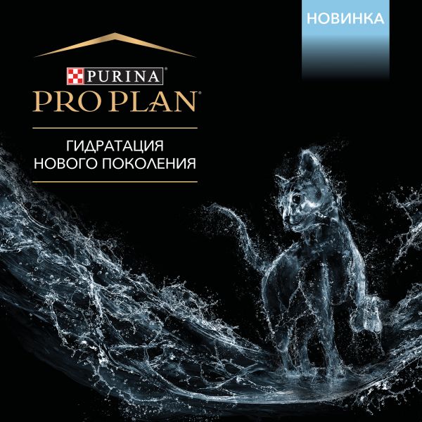 Кракен тор kr2web in