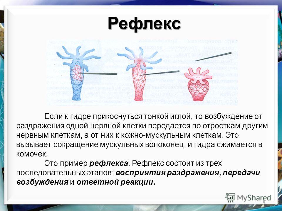 Кракен наркоплощадка